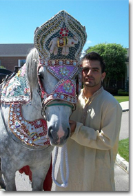 Staff with Baraat Horse