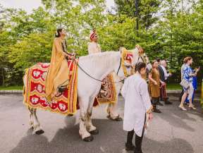 Baraat-Horses-Image