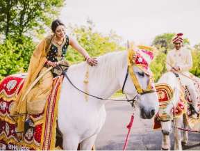 Baraat-Horses